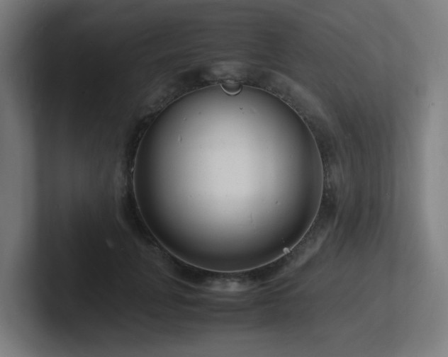 X0000102780751200808181149