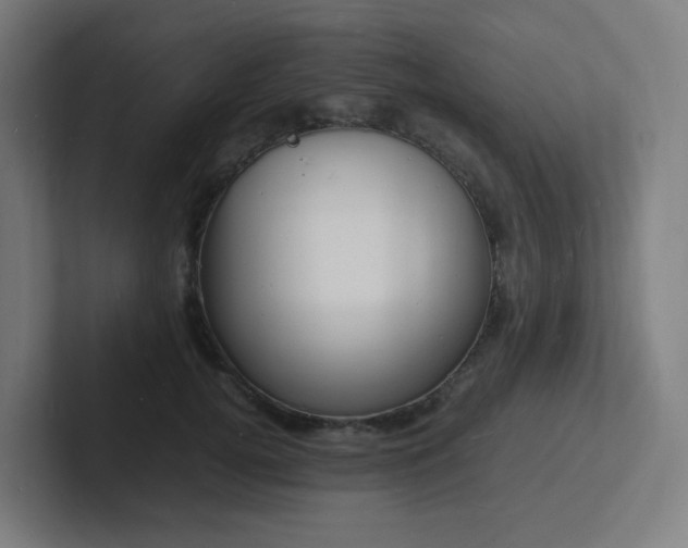 X0000102780752200808181149