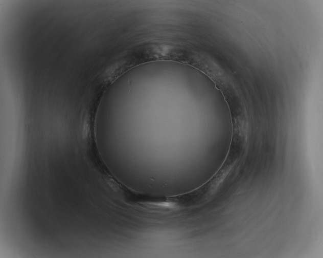 X0000102780754200808181149