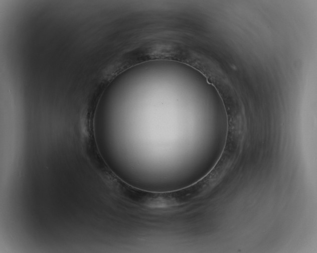 X0000102780755200808181149