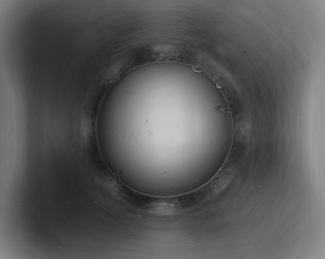 X0000102780756200808181149