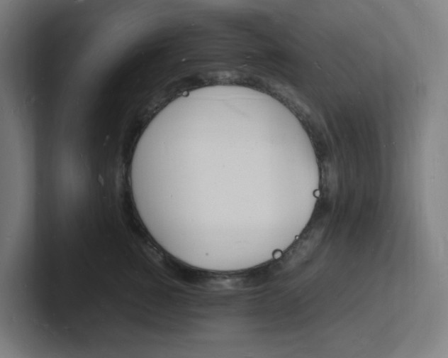 X0000102780760200808181149