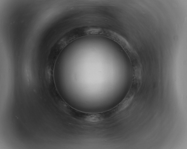 X0000102780761200808181149