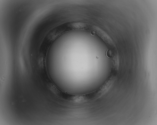 X0000102780762200808181149