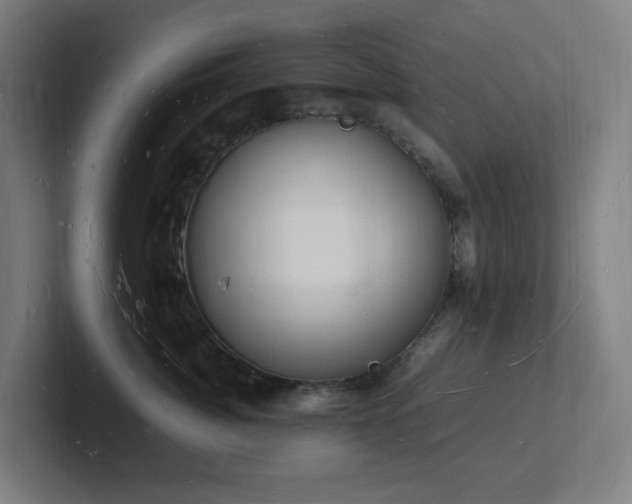 X0000102780764200808181149