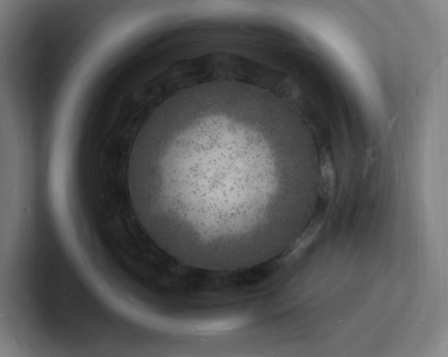 X0000102780765200808181149