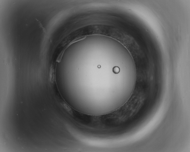 X0000102780766200808181149