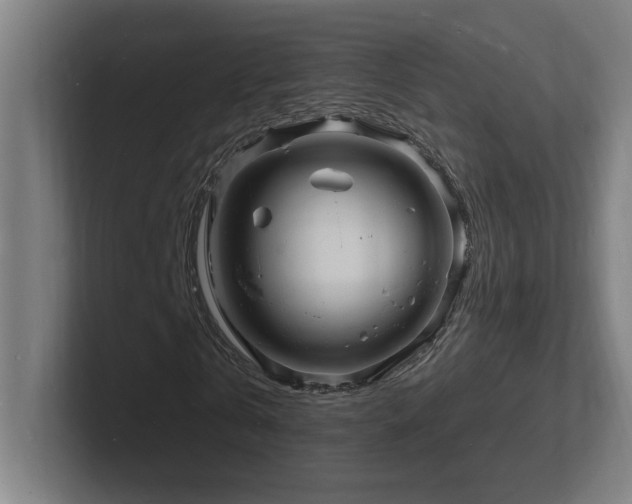 X0000102780769200808181149