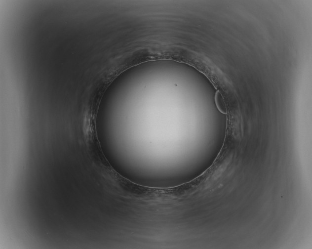 X0000102780770200808181149