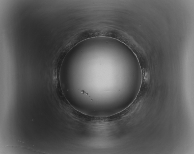 X0000102780771200808181149