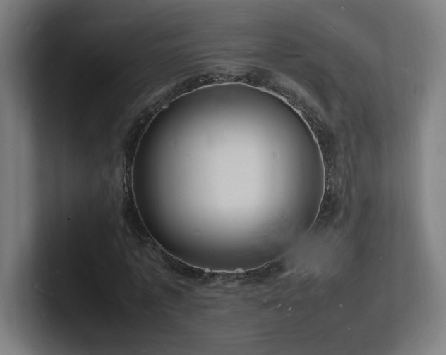 X0000102780773200808181149