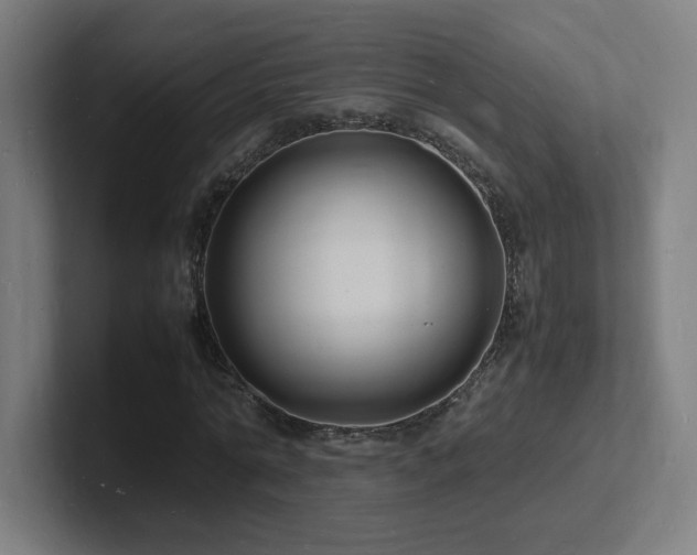 X0000102780774200808181149