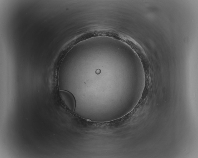 X0000102780775200808181149