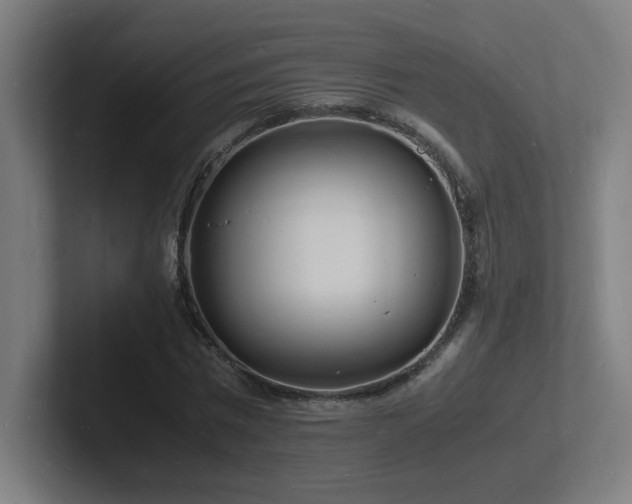 X0000102780777200808181149