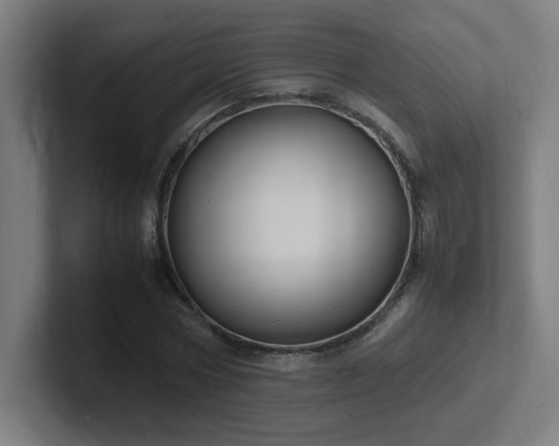 X0000102780778200808181149