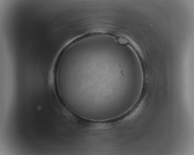 X0000102780779200808181149