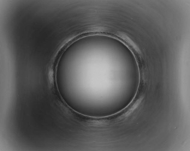 X0000102780781200808181149