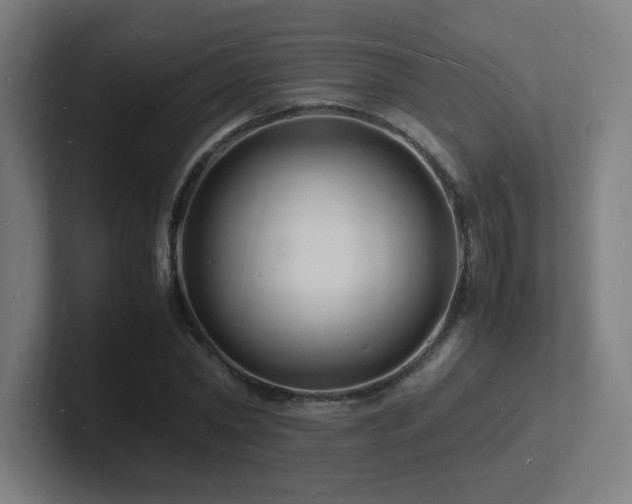 X0000102780782200808181149