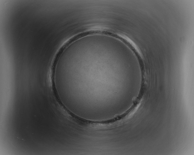 X0000102780783200808181149