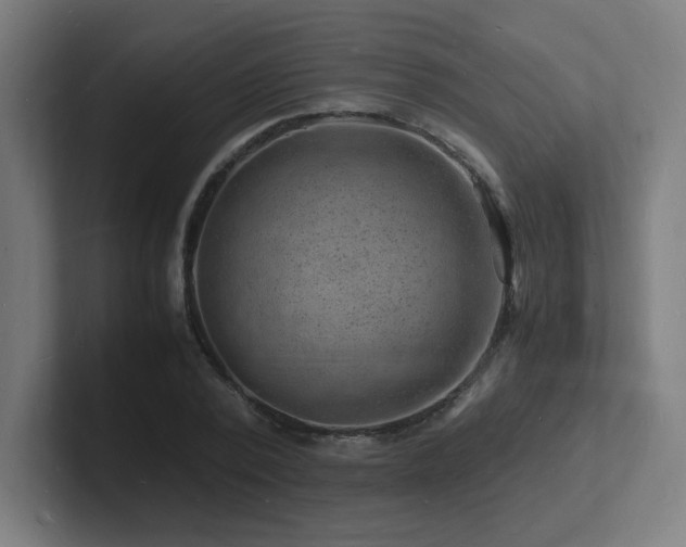 X0000102780784200808181149