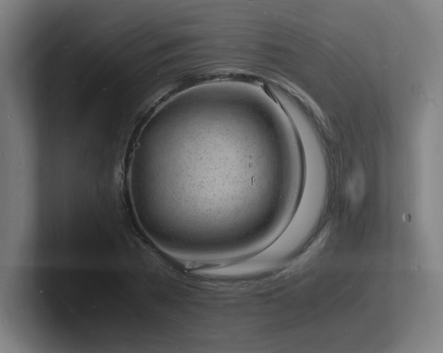 X0000102780785200808181149