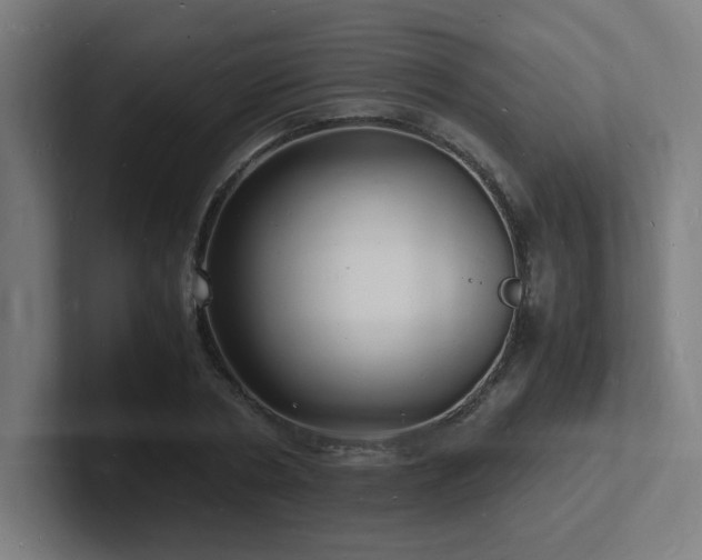 X0000102780786200808181149