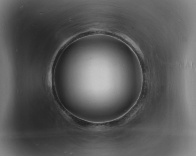 X0000102780791200808181149