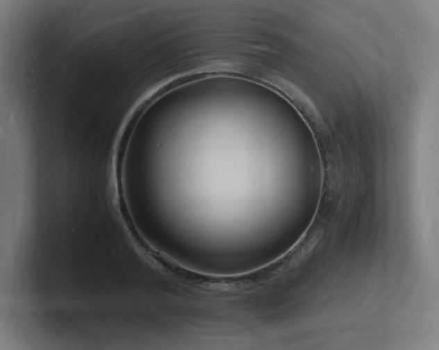 X0000102780792200808181149