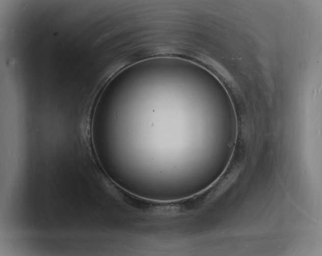 X0000102780793200808181149