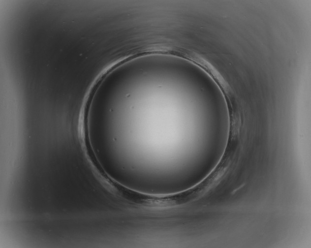 X0000102780795200808181149