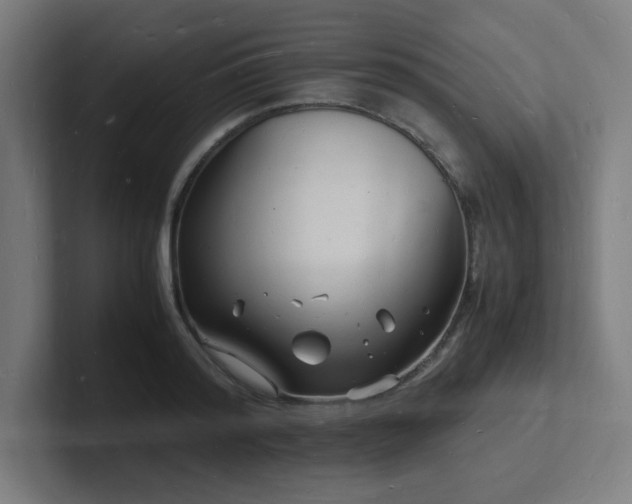 X0000102780796200808181149