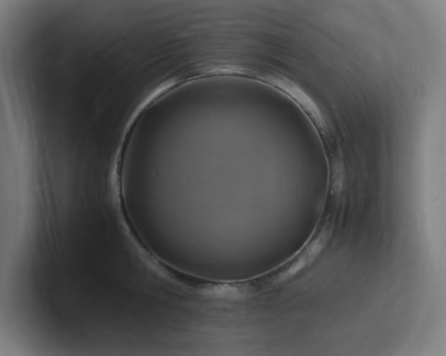 X0000102780806200808181148