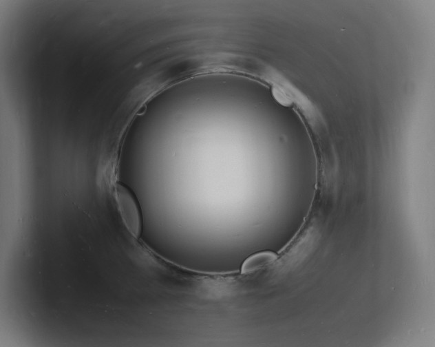 X0000102780809200808181148