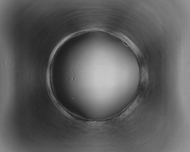 X0000102780812200808181148