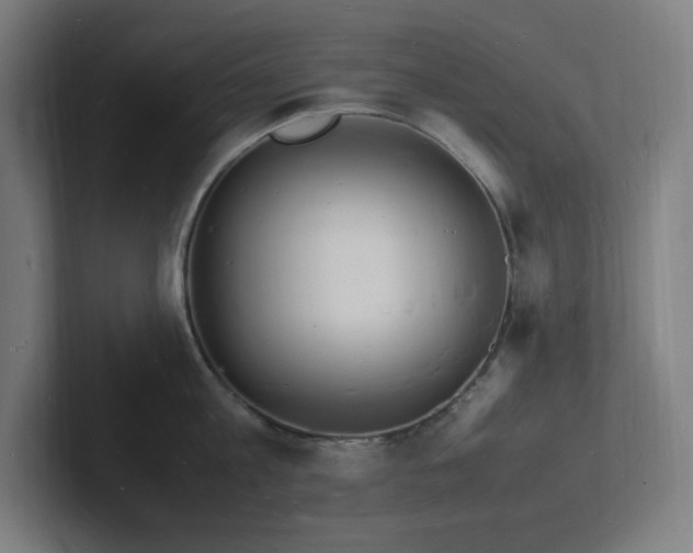 X0000102780813200808181148