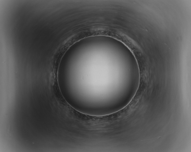 X0000102780821200808181148