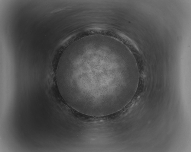 X0000102780822200808181148