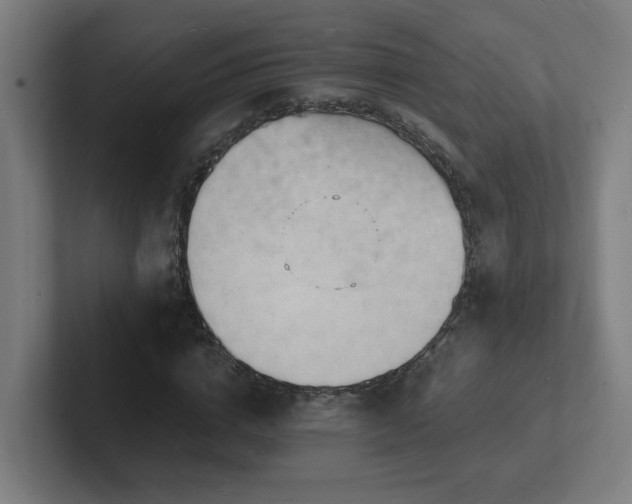 X0000102780824200808181148