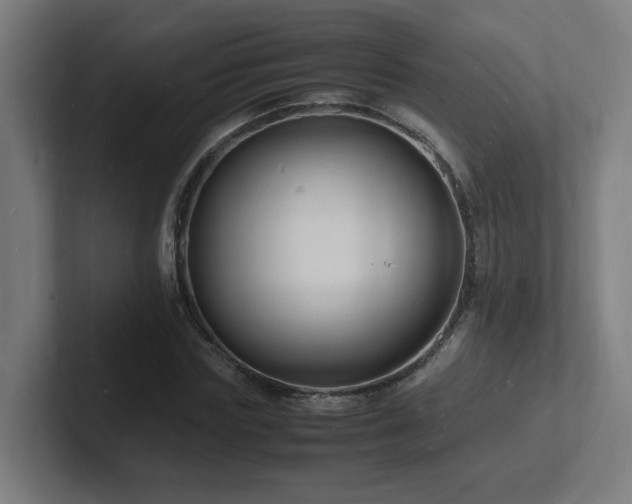 X0000102780827200808181148