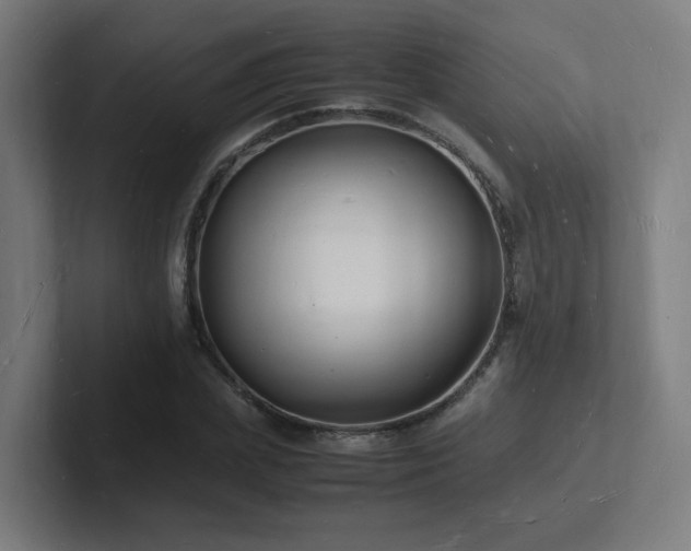 X0000102780831200808181148