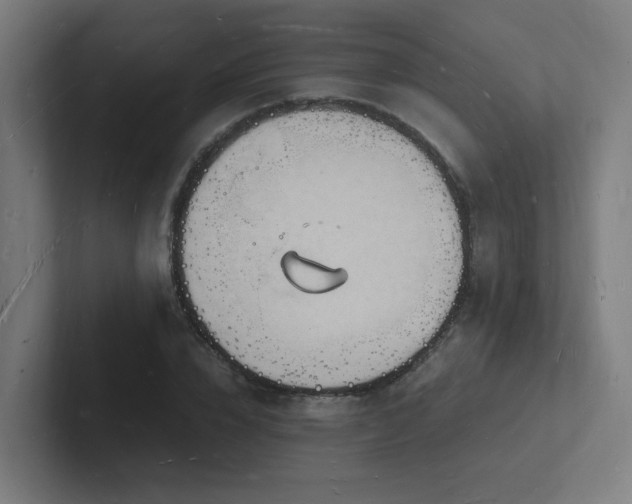 X0000102780832200808181148