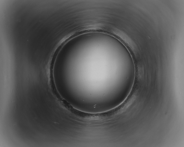 X0000102780834200808181148