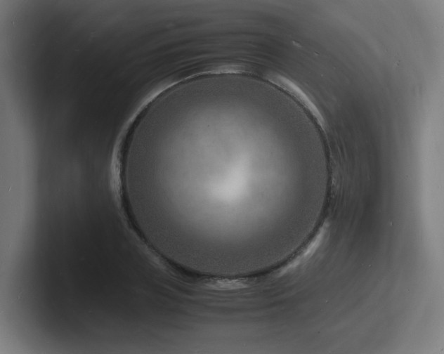 X0000102780835200808181148