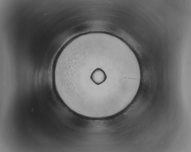 X0000102780836200808181148