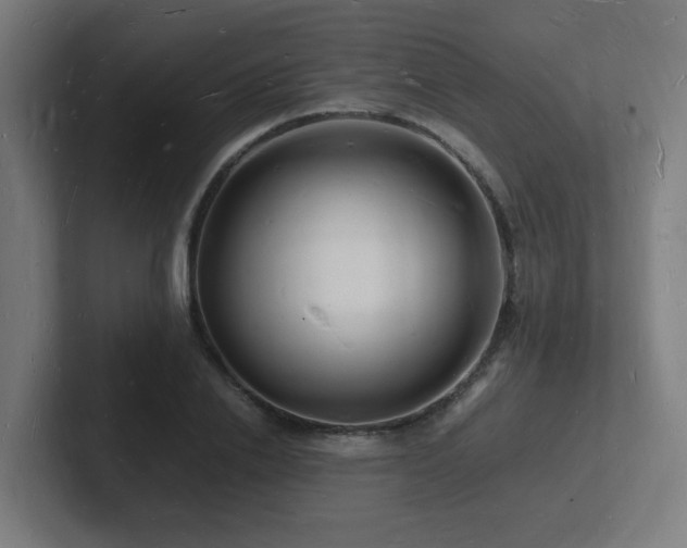 X0000102780838200808181148