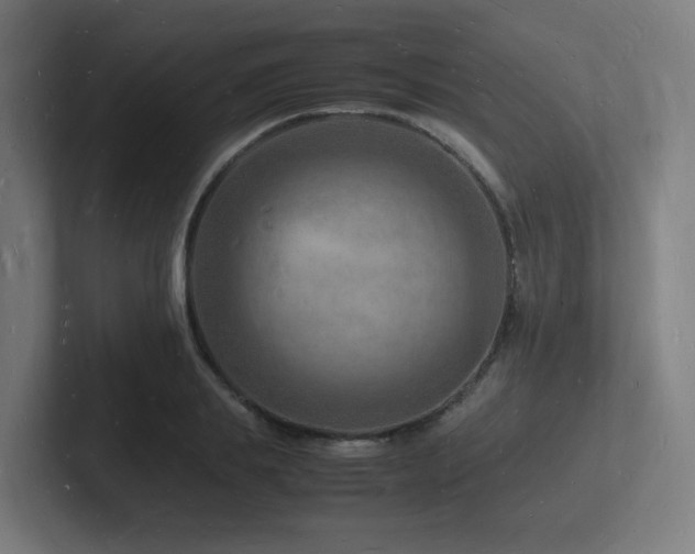 X0000102780839200808181148