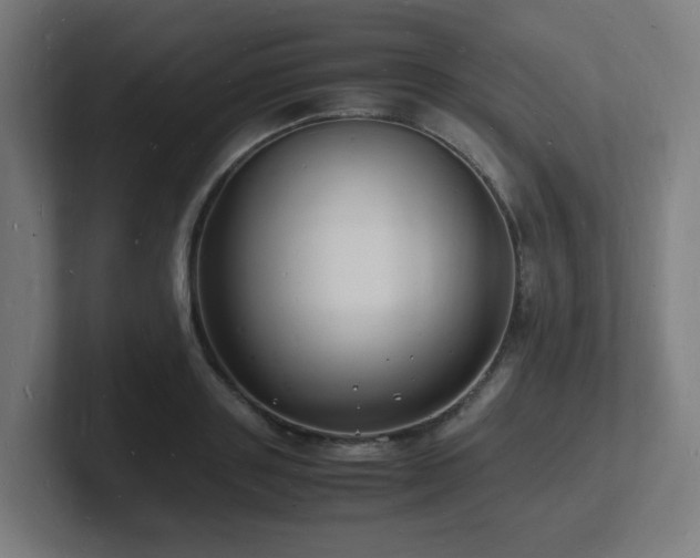 X0000102780843200808181148