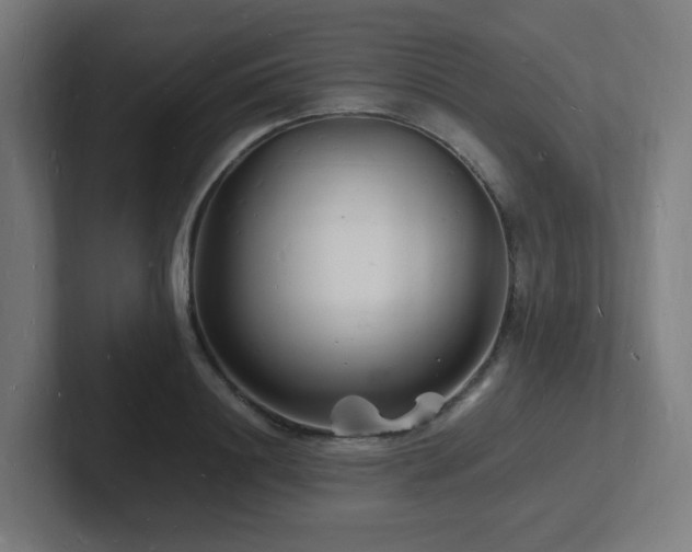 X0000102780844200808181148