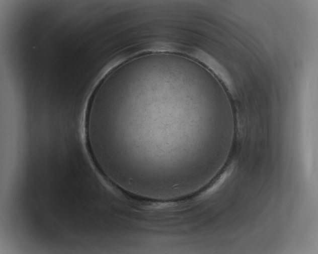 X0000102780845200808181148