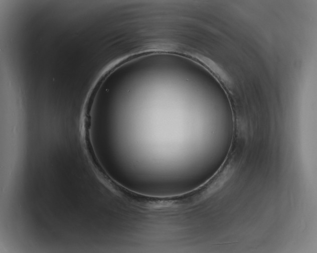 X0000102780846200808181148